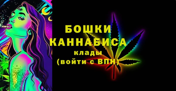 PSILOCYBIN Белокуриха
