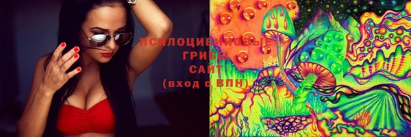 PSILOCYBIN Белокуриха
