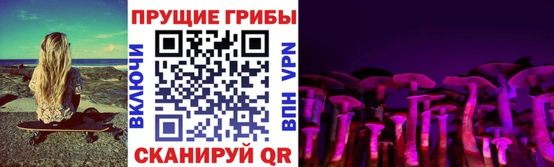 Псилоцибиновые грибы прущие грибы  Чадан 